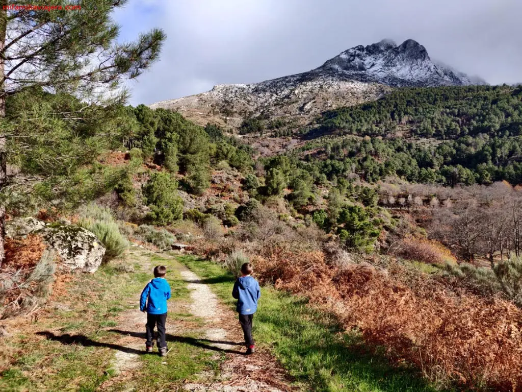 pico torozo.jpg